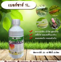 เบอร์ซา 1L. อะบาเม็คติน น้ำใส สูตรน้ำวิ่ง กำจัดหอยเชอรี่ สารกำจัดแมลง กำจัดเพลี้ย กำจัดหนอน เพลี้ยไฟ หนอนชอนใบ หนอนม้วนใบ