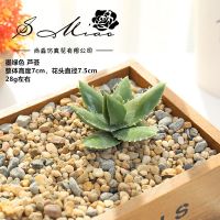 Mini Succulents Artificial-DIY Succulents Plants Artificial Plants,Assorted Decorative Faux Fake Succulents Plants for Living Room and Bedroom Decor