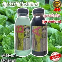 ปุ๋ยไฮโดรโปนิกส์ ปุ๋ยAB ปุ๋ยน้ำ ปุ๋ยผักสลัด สำหรับปลูกผัก Hydroponics ขนาด1000ML New สูตรเข้มข้น