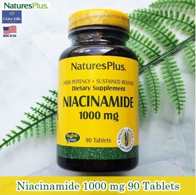 ไนอาซินาไมด์ วิตามินบี 3 Niacinamide 1000 mg 90 Tablets - NaturesPlus B-3 B3