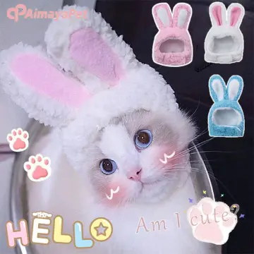 Cat Headgear Cute Pet Dog Cat Caps Rabbit Ears Hats For Cats Kids Bunny  Cosplay Props Bunny Ears Pet Headdress Cat Accessories - AliExpress