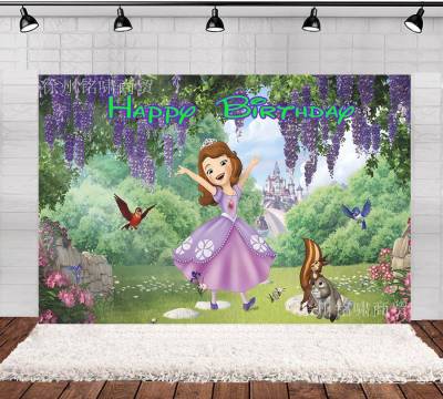 Sophia princess Birthday theme backdrop banner party decoration photo photography background cloth