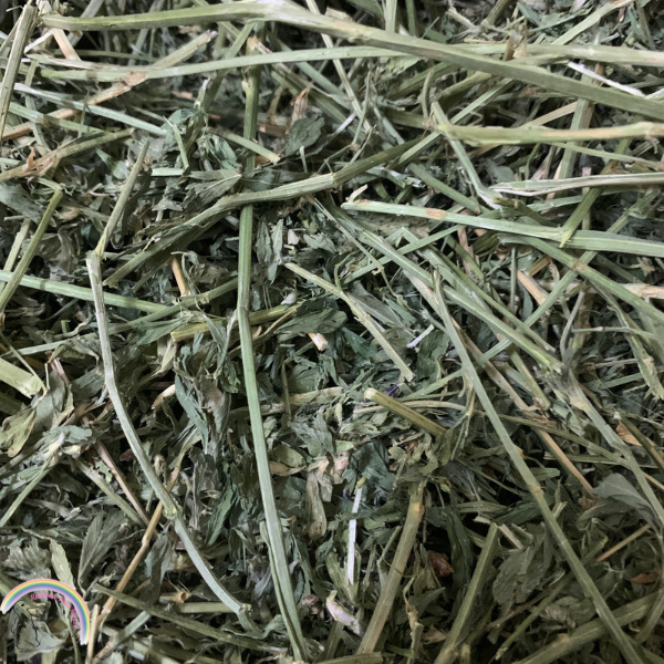 Alfalfa Hay / Imported Hay 1kg Lazada