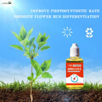 Phytosomatin สารเร่งรากพืชให้ความอบอุ่น,สารเร่งรากดอกไม้สำหรับสวนบ้านเรือนกระจก