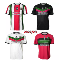 CD Palestino 22 23 soccer jersey 2022 2023 home away third goalkeeper Carrasco Misael Dávila Cornejo Aránguiz football shirt