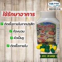 Paracillin Medifish (ติดเชื้อจากปรสิต หัวเป็นรู ท้องบวม)