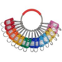 Portable Metal Ring Key Organizer Ring Key Organizer with 16 Spring Hooks &amp; Key Tags with Ring and Label Window