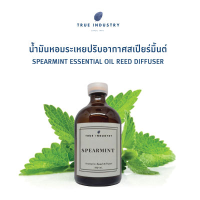 น้ำมันหอมระเหย สเปียร์มิ้นต์ สำหรับปรับอากาศ (Spearmint Essential Oil Reed Diffuser)