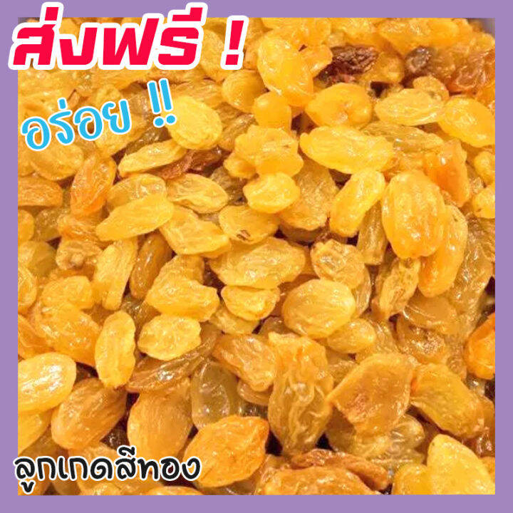 ส่งฟรี-ซื้อ-1-ฟรี-1-ลูกเกดสีทอง-พร้อมทาน-เกรด-a-golden-raisins-คุณภาพดี-ขนาด-100กรัม-ฟรี-100กรัม-ไม่มีส่วนผสมของน้ำตาล-เหมาะสำหรับทุกวัย-premium-quality-products-ลูกเกดสีเหลือง-ลูกเกดเหลือง-เกดเหลือง-