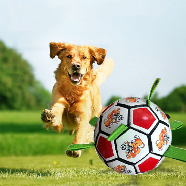 ของเล่นสุนัขแบบโต้ตอบลูกฟุตบอลขนาดใหญ่พร้อมสายรัด-kado-ulang-tahun-สำหรับลูกสุนัขสุนัขขนาดเล็กและขนาดกลาง