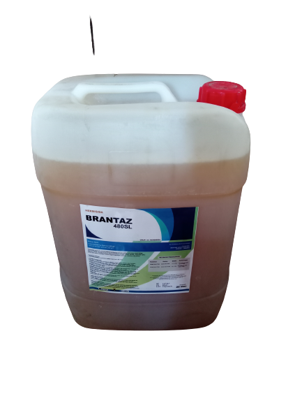 Herbisida Glifosat Brantaz 480sl 20 Liter Obat Racun Rumput Sistemik