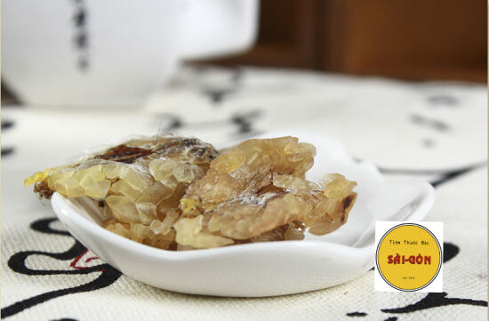 Hcmloại thượng hạng tuyết giáp tây tạng 30gram tiệm thuốc bắc sài gòn - ảnh sản phẩm 1