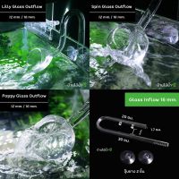 Inflow Outflow Glass Pipe | Lilly Poppy Spin skimmer type อินโฟลว เอาท์โฟลว ท่อแบบแก้ว หรูหราสวยงาม | บ้านไม้น้ำ?