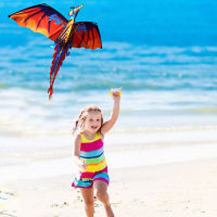 2021 New 3D Dragon Kite With Tail Kites Colorful Kite 3D Kites Funny Outdoor 100m Kite Line Surf Flying Game Toys for Kids Adult