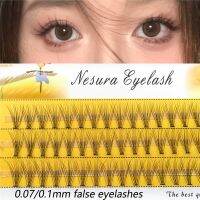 Anlinnet 3 rows of 60 clusters eyelashes Extension Natural Russian false eyelashes Individual 10D Cluster Cosmetics false lashes