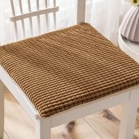 Modern Minimalist Style /Soft / Comfortable Plush Cushion Home Dining Table Chair Cushion Winter Thickened Square Cushion Unisex