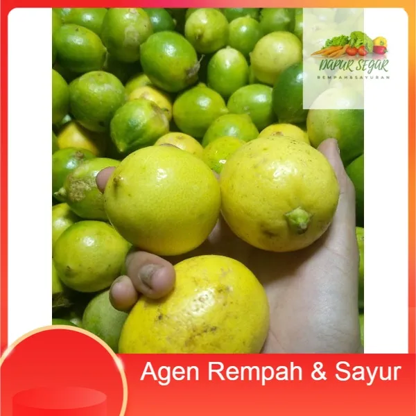 Jeruk Lemon Lokal Segar 1kg Lazada Indonesia