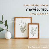 K&amp;M SHOP รูปภาพรวมกรอบ กระดาษ100ปอนด์ ภาพวาด ภาพติดผนัง ภาพพร้อมกรอบรูป งานพิมพ์คุณภาพสูง ภาพใบไม้ 4x6,5x7,8x10 มีสีกรอบให้เลือก