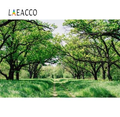 【☊HOT☊】 liangdaos296 Laeacco ฤดูใบไม้ผลิต้นไม้สีเขียวหญ้าทางแนวตั้งกลางแจ้งพื้นหลังการถ่ายภาพฉากพื้นหลังสตูดิโอถ่ายภาพ