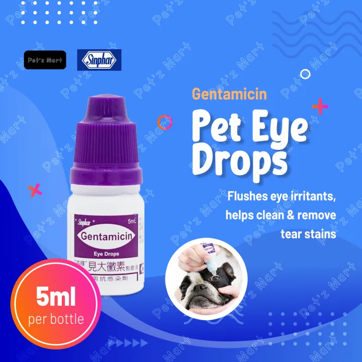 SINPHAR Gentamicin Eye Drops for Pets 5ml Lazada PH
