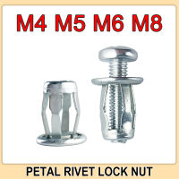 M5 M6กลีบ Rivets ล็อคอ่อนนุชสายฟ้ากลวงเหล็กอลูมิเนียม Rivet ปืนคงที่ป้ายทะเบียนสำหรับรถสกรู