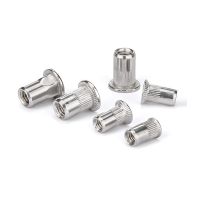 304 Stainless Steel Rivet Nut/Flat Head Vertical Thread Pull Cap M3-M12