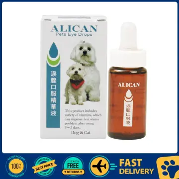 Alican Dog Best Price in Singapore Feb 2024 Lazada.sg