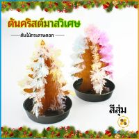 TookJai ต้นคริสต์มาสวิเศษ ต้นไม้กระดาษดอก ของขวัญแสนสนุก  magical christmas tree