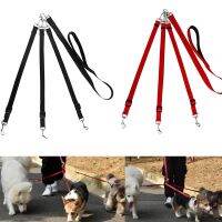 【LZ】 Good Quality Home Pet Belt 3 In 1 Dog Leashes For Multiple Dogs Adjustable Detachable Nylon Dog Leash With Padded Handle