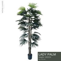 Lady Palm - Height 200 cm ต้นจั๋ง ความสูง 200 ซม.ต้นไม้ปลอมเกรดพรีเมี่ยมเพื่อการตกแต่ง ต้นไม้ประดิษฐ์ตกแต่งบ้าน คอนโด