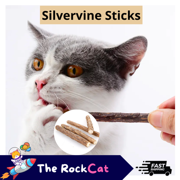ROCKCAT 】Natural Cat Molar Stick Silvervine Stick Cat Dental Treats