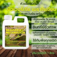 บิวเวอร์เรีย เมธาไรเซียม ขนาด 1 ลิตร Green Park กำจัด เพลี้ย แมลง หนอน ไร ด้วง อินทรีย์ชีวภาพ ใช้ได้ทุกพืช บอนสี ไม่มีสารเคมี 1 ลิตร/Taeng Suan shop