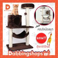 คอนโดแมว สีน้ำตาล สูง90ซม. เสาเป็น ที่ลับเล็บแมว  cat condo พร้อมส่งในไทย