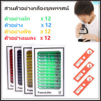 48pcs/set Plastic Prepared Microscope Slides Animals Insects Plants Sample Specimens Slides Set with Color Labels for Kids Students ชุดสไลด์พลาสติก เรื่องพืช,สัตว์,แมลง ครบชุด