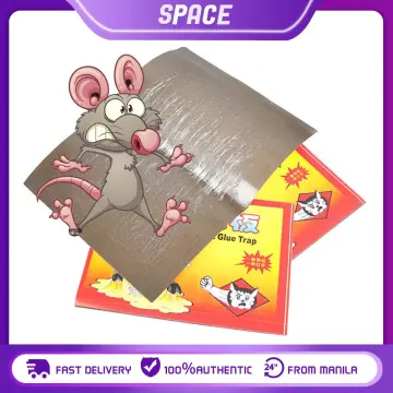 Shop Japan Sticky Large Mouse Trap with great discounts and prices online -  Nov 2023