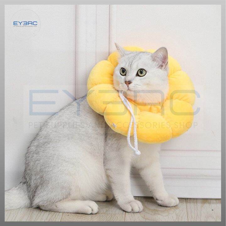 Sun Flower Elizabethan Collar Lazada PH