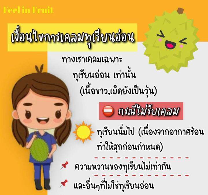 ทุเรียนหมอนทอง-3-5-กก-ขายยกลูกจ้า-นอกนุ่มใน-สุกพอดีทาน-เนื้อละเอียด-หอมอร่อย-สวนจันทบุรี