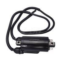 For Honda ATC 250 1981-1984 CA 160 1966-1969 CA 175 ATC250 CA160 CA175 CB1000 CB1100 Motorcycle Ignition Coil 12V External CDI