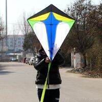 hot【DT】☄¤  Kite  for Teenagers Beach Outdoor Activities