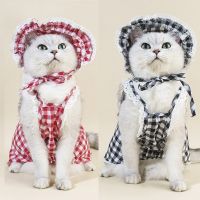 Summer new small pet clothing cat than bear plaid dress set with hat thin model breathable birthday suit party dress Dresses