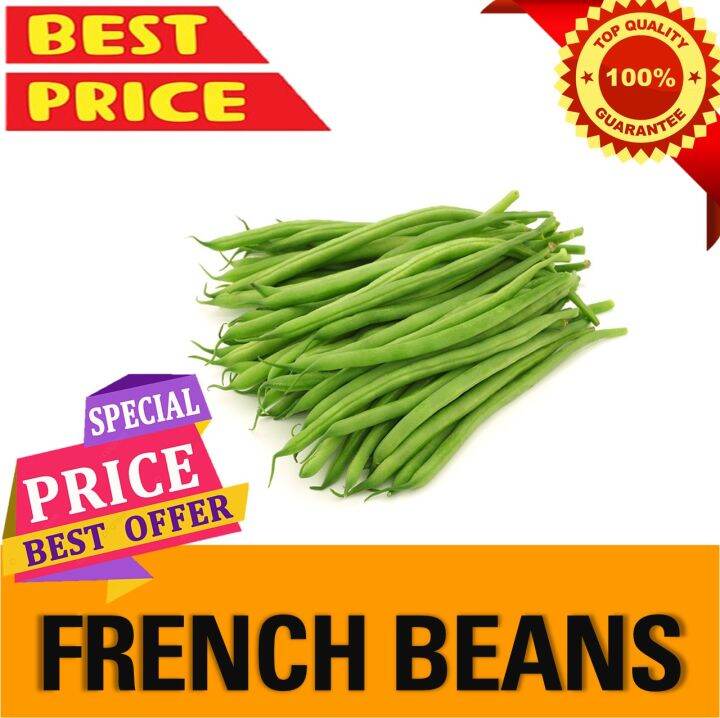 French Beans Vegetable Seeds VALUE PACK Lazada PH