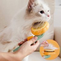 Cat Brush Comb Pet Pumpkin Comb For Dogs Cats Dog Hair Remover Brush Pet Hair Shedding Self Cleaning Comb Pet Grooming Tools