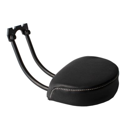 Short Passenger Backrest Rear Backrest Seat Backrest Motorcycle for Sportster S RH1250S 2021-2022