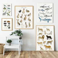 Animal Art Prints Wall Art ภาพวาดผ้าใบ-โปสเตอร์สไตล์นอร์ดิกและพิมพ์ไดโนเสาร์กระต่ายและฉลาม-เหมาะสำหรับเด็กทารกตกแต่งบ้าน