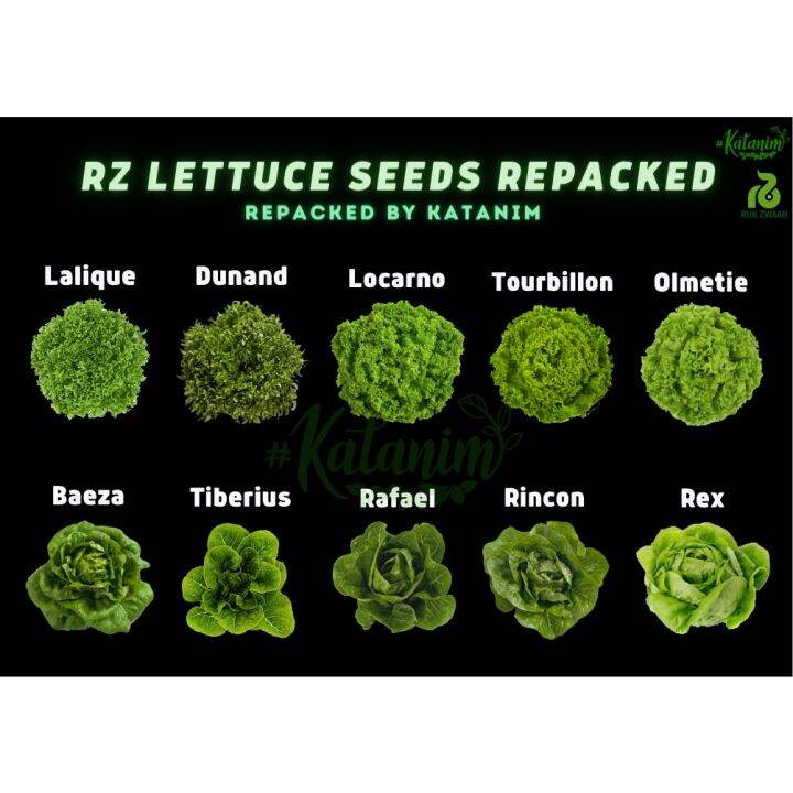 ☉katanim Rz Green Lettuce Seeds Collection 1 Repacked 100 Seeds Rijk Zwaan Hydroponics 4196