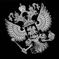 3d สติกเกอร์โลหะติดเสื้อแขนรถโลหะนิกเกิลของรัสเซีย Emblem Elang ติดเสื้อสหพันธ์รัสเซียสำหรับแต่งรถสติกเกอร์ใหม่
