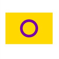 90x150cm Intersex Pride Flag