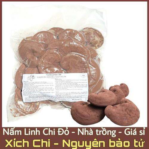 Nấm linh chi đỏ 500g xích chi việt nam nhà trồng - ảnh sản phẩm 1