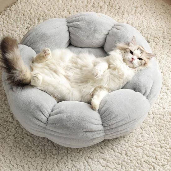 Aov giường cho mèo hình hoa giường cho chó siêu mềm thảm cho mèo thú cưng - ảnh sản phẩm 4