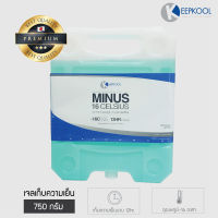 เจลเย็น Minus-16 °C 750g. ??ยิ่งซื้อ ยิ่งถูก?? เจลเก็บความเย็น ใช้ซ้ำได้ พร้อมใช้งาน ice pack ไอซ์แพค